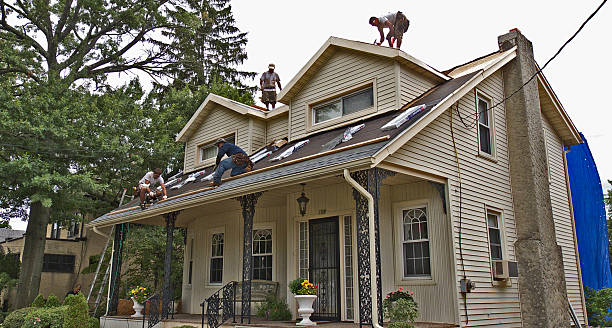 Best Roof Gutter Cleaning  in Clayton, MO