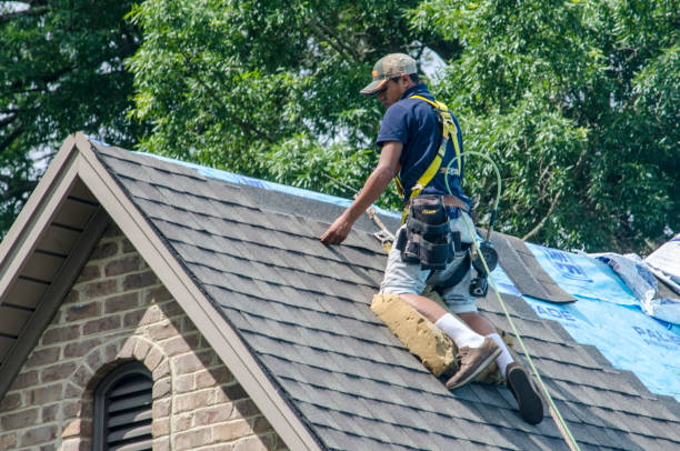 Best Shingle Roofing Installation  in Clayton, MO